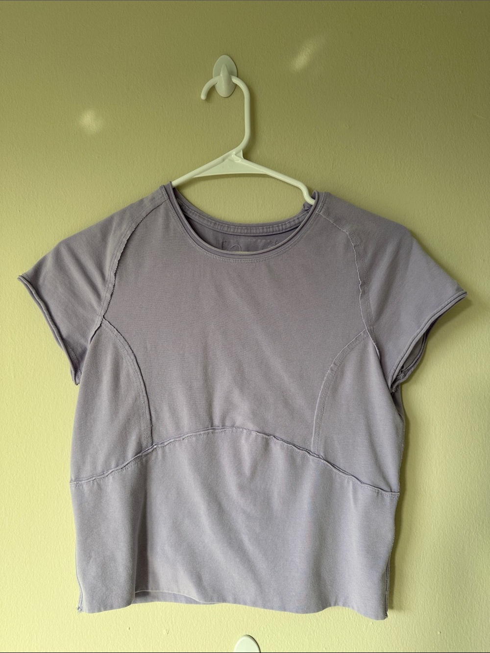 We The Free Lavender Short Sleeve Crewneck Top